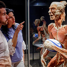 Two people looking at a plastinate of a human body at Body Worlds Amsterdam.